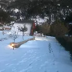 Lodge In The Forest