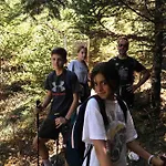 In The Forest