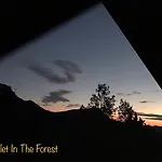 Lodge In The Forest *