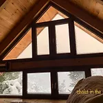 In The Forest Lodge *