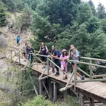 In The Forest
