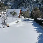 In The Forest