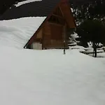 In The Forest Lodge