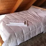 In The Forest Lodge