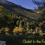 In The Forest Lodge