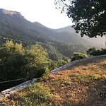 In The Forest