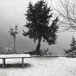 In The Forest Kalavryta