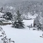 In The Forest *