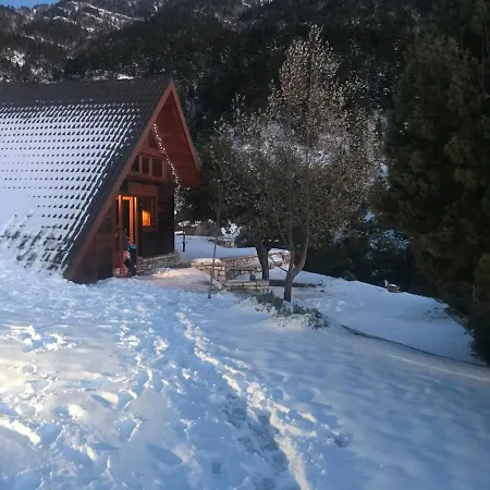 In The Forest Lodge