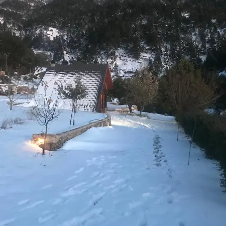 Gerendaház In The Forest