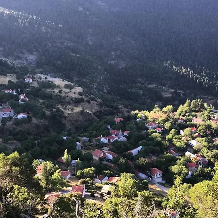 In The Forest Gerendaház *