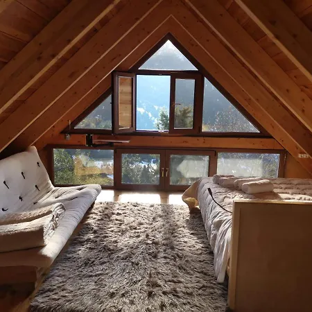 In The Forest Lodge