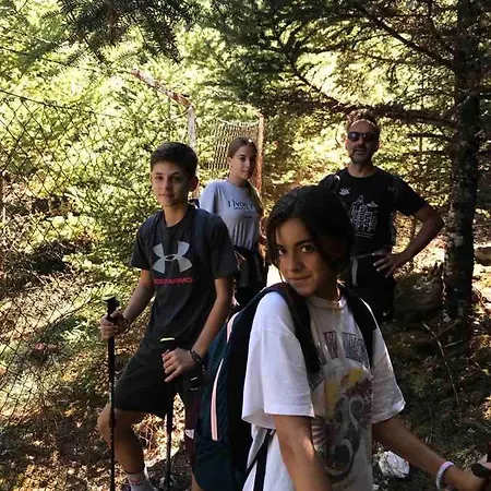 In The Forest