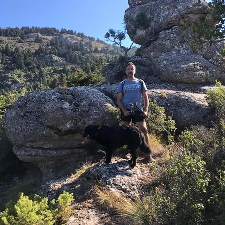 In The Forest Gerendaház *