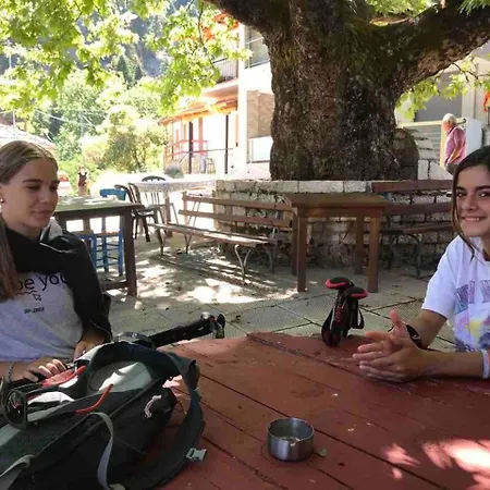 Alojamento de Turismo Selvagem In The Forest *