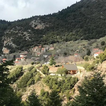 In The Forest Gerendaház
