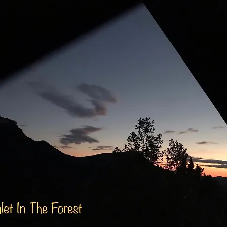 Gerendaház In The Forest *