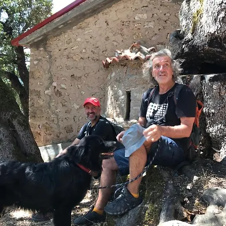 Gerendaház In The Forest *