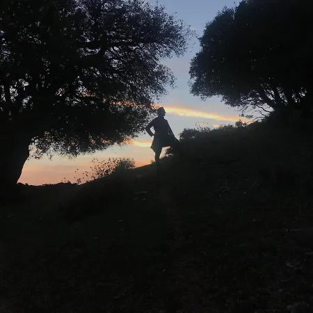 In The Forest * Kalávrita