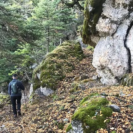 Gerendaház In The Forest *