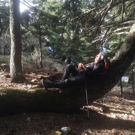 Gerendaház In The Forest *