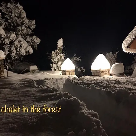 Alojamento de Turismo Selvagem In The Forest Kalavryta