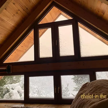 In The Forest Gerendaház *