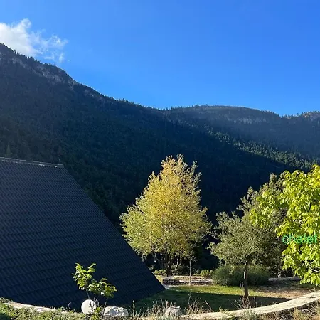 Orman Evi In The Forest *