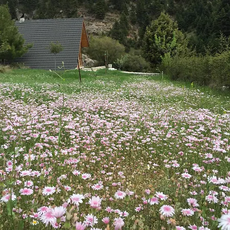 Gerendaház In The Forest *