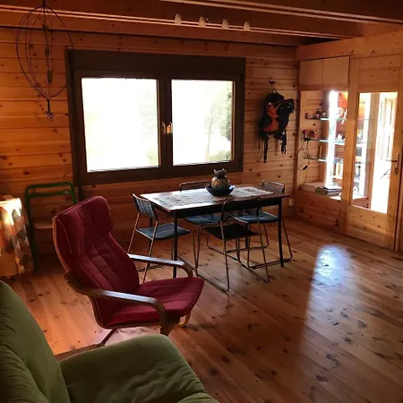 Orman Evi In The Forest
