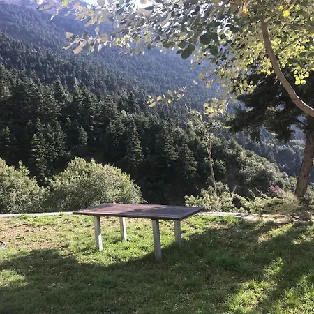 Orman Evi In The Forest Kalavryta