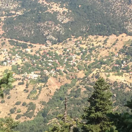 In The Forest Καλάβρυτα