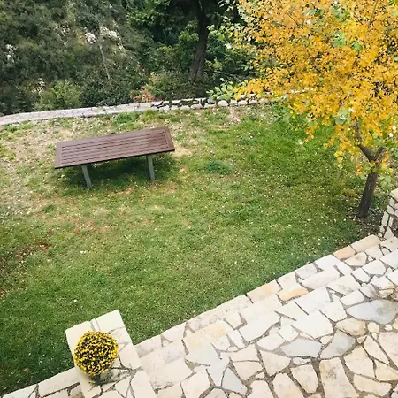 אכסניה In The Forest
