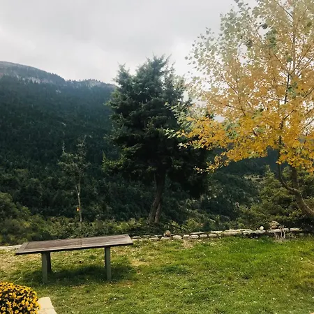 In The Forest *