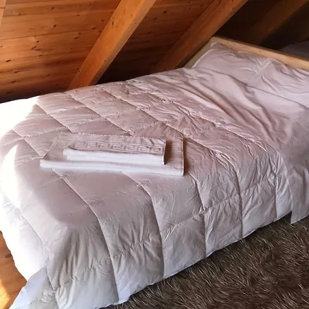 In The Forest Gerendaház