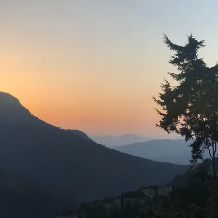 In The Forest Gerendaház Kalávrita