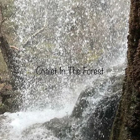 In The Forest Деревянный коттедж *