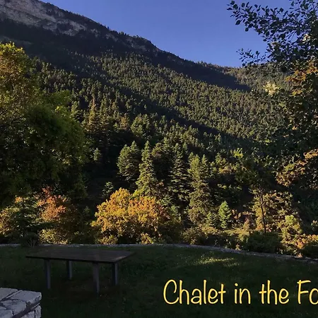 In The Forest Gerendaház