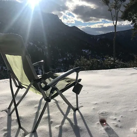 In The Forest * Kalávrita