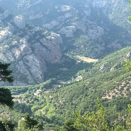 Orman Evi In The Forest
