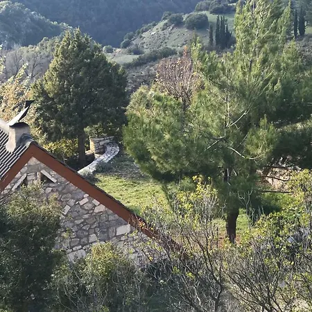 אכסניה In The Forest
