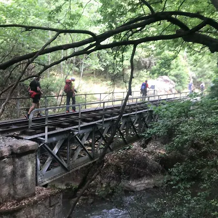 In The Forest Gerendaház Kalávrita