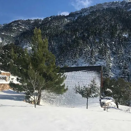 In The Forest Gerendaház Kalávrita