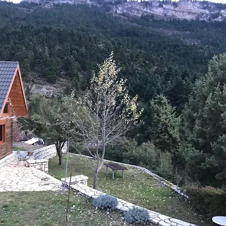 In The Forest