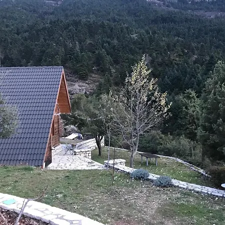 In The Forest Orman Evi