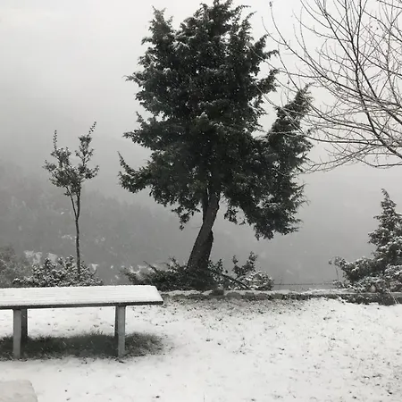 In The Forest Kalávrita