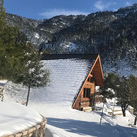 In The Forest Lodge Kalavryta