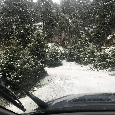 In The Forest Καλάβρυτα