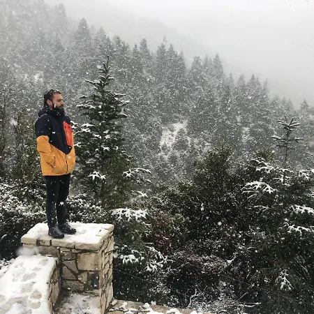 In The Forest * Kalavryta