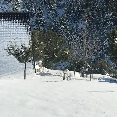 Lodge In The Forest Καλάβρυτα